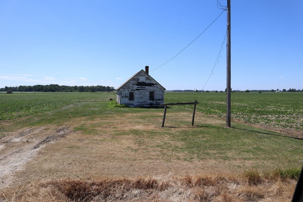 Snover - June 2021 Photo (newer photo)